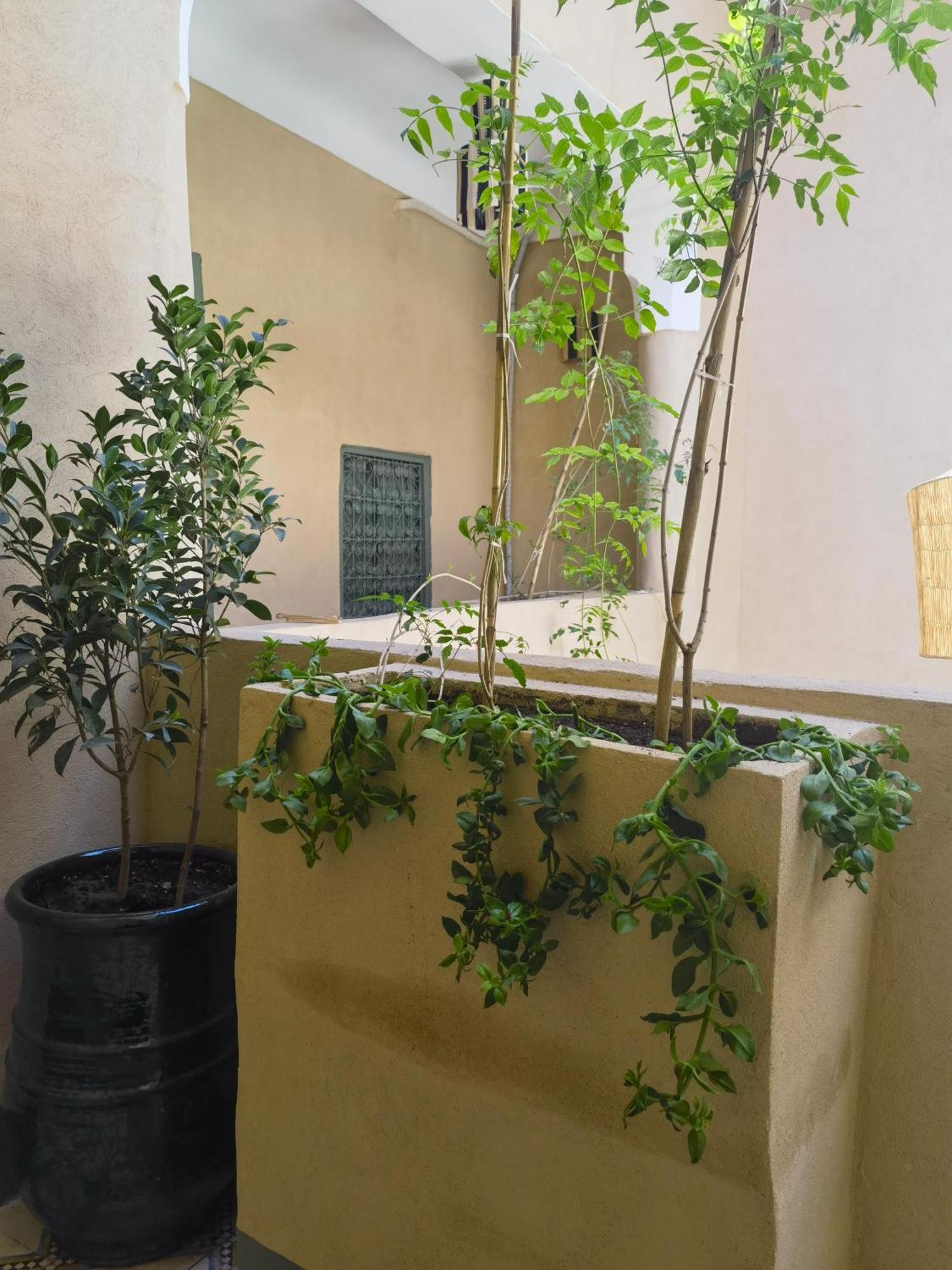 Medina Oasis Hostel Marrakesh Eksteriør billede