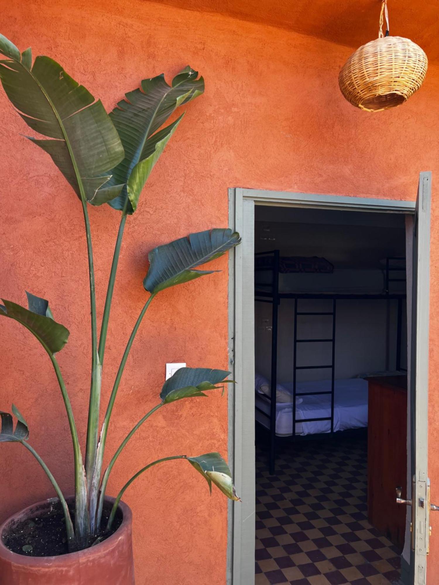 Medina Oasis Hostel Marrakesh Eksteriør billede